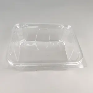 Wholesale Clear Square PET Plastic Disposable Fruit Tray With Lid Uv Coating Printed Pattern