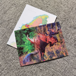 Carte postale 3D lenticulaire personnalisable avec mon propre <span class=keywords><strong>image</strong></span>, faible MOQ, personnalisation, carte stéréoscopique à effet de changement, pour la promotion, souvenir, cadeau - Product Image 2