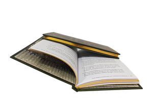 Оптовая продажа, классическая Книга в твердом переплете, размеры A4/B5/A5, изготовленный на заказ, Золотой/Серебряный край, необычный картонный продукт - Product Image 2