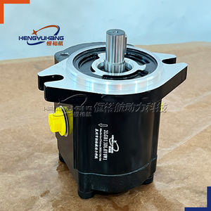 HENGYUHANG 2LGB OEM Pompe à huile à engrenages à vis ultra-silencieuse SETTIMA Pompes hydrauliques GR28 <span class=keywords><strong>GR33</strong></span> GR38 GR47 GR55 GR72 Pompe à engrenages hydraulique - Product Image 2
