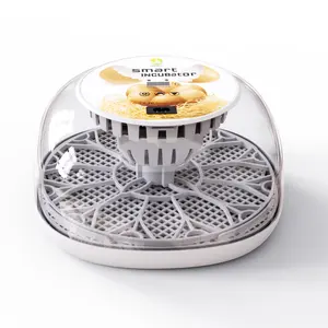 Hhd incubadora automática do ovo, como equipamento de aves para os itens mais vendidos m12