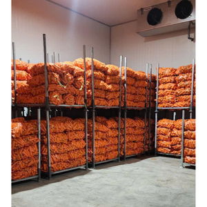 Cubos de zanahorias secas al por mayor de alta calidad, convenientes y sabrosos para sopas y comidas listas, verduras de Vietnam - Product Image 4