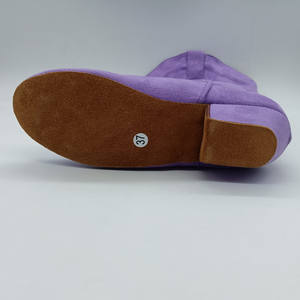 Semelle en daim <span class=keywords><strong>Bottes</strong></span> de <span class=keywords><strong>danse</strong></span> latine pour femmes Longue ligne <span class=keywords><strong>d</strong></span>'<span class=keywords><strong>échauffement</strong></span> Chaussures de salsa West Coast Swing Swayd <span class=keywords><strong>Bottes</strong></span> de <span class=keywords><strong>danse</strong></span> - Product Image 3
