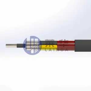 新产品不锈钢铠装高温检测测井电缆