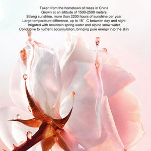 Set Perawatan Kulit Air Mawar Mutiara Murni Anti-Kerut Pemutih Pencerah Melembapkan OEM/ODM Set Perawatan Kulit Anti-Kerut - Product Image 2