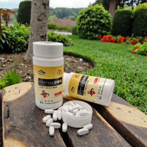 Comprimés à Croquer d'Argousier Herbal à la Vitamine C, Soutien Digestif, Soulagement de la <span class=keywords><strong>Dyspepsie</strong></span>, Amélioration de la Digestion, Rafraîchisseur d'Haleine, OEM - Product Image 1