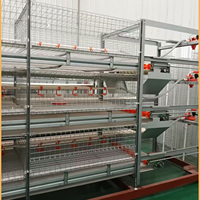 Cage à poulets de chair de type H galvanisée, capacité 60-80 oiseaux, équipement d'élevage avicole en batterie pour ferme