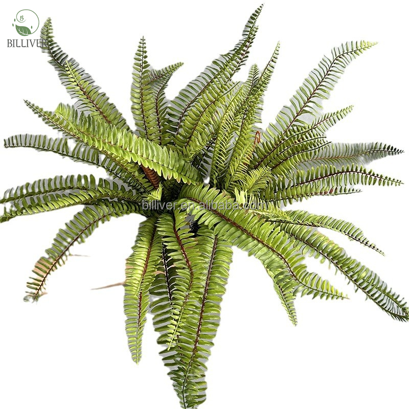 Vert 25 allongement des feuilles