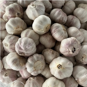 กระเทียมสด ขนาด 5.0-5.5 ซม. ผัก 10 กก. บรรจุกล่อง ราคาส่งออก - Product Image 1