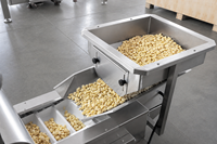 Machine d'emballage automatique multi-têtes pour granulés, 10-20 sacs/min, ensacheuse de gros sacs pour gousses d'ail, noix, granulés avec convoyeur