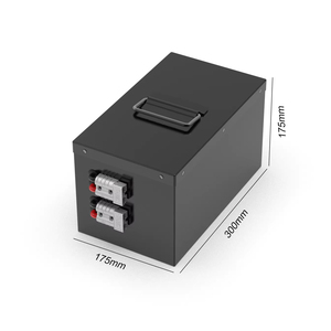 Batterie rechargeable au lithium-ion LiFePO4 48V 51.2V 60V 20Ah 30Ah 50Ah 1000W 2000W avec BMS pour véhicule et scooter - Product Image 3