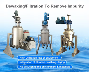 Agitated Vacuum Filter Dryer Pressure Nutsche Filters and Dryers for Chemical Industries - Product Image 6