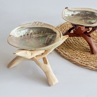 T-255 en gros 10-12 cm coquilles d'ormeau de conque naturelle pour brûler conteneur créatif décoration de la maison articles et ornements