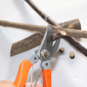 Pruning <b>Shears</b> Carbon Steel 20-30 Mm Trimming Diameter Orange Handle Garden <b>Tools</b> For Fruit Tree Pruning - Product Image 2