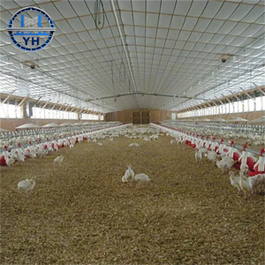 Bâtiment avicole préfabriqué à faible coût en structure acier pour poulets <span class=keywords><strong>de</strong></span> chair et poules pondeuses - Product Image 3