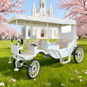 Nuevo Vehículo Eléctrico de Turismo para Fotografía de Viajes, Transporte Especial para Múltiples Ocasiones - Product Image 2