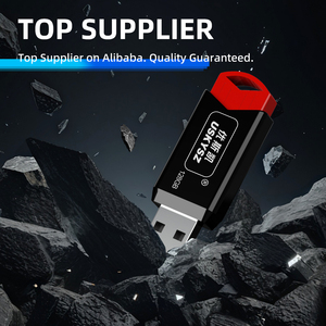 Memoria USB 2.0 con Logotipo Personalizado, Pendrive de 2GB, 4GB, 8GB, 16GB, 32GB, 64GB, 128GB, Unidades Flash USB Retráctiles - Product Image 2