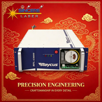 Sumber Laser Fiber Modul Tunggal Raycus 3000W CW, Stabilitas Tinggi untuk Mesin Pemotong Logam Industri