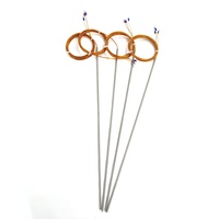 Control de temperatura industrial 2 3 4 cables clase A RTD PT100 sensores