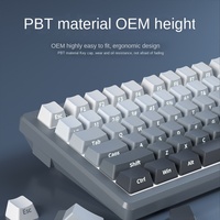 Clavier mécanique PBT USB avec gravure latérale dégradée, rétroéclairage, interrupteurs Tea Hot-Swappable, personnalisable, filaire, pour le gaming