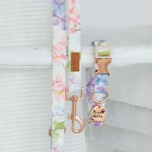 Elegant Modern Design Cotton <b>Dog</b> <b>Collar</b> Leash Luxury Style Soft Durable Features Wholesale Personalized Solid Pattern OEM ODM - Product Image 3