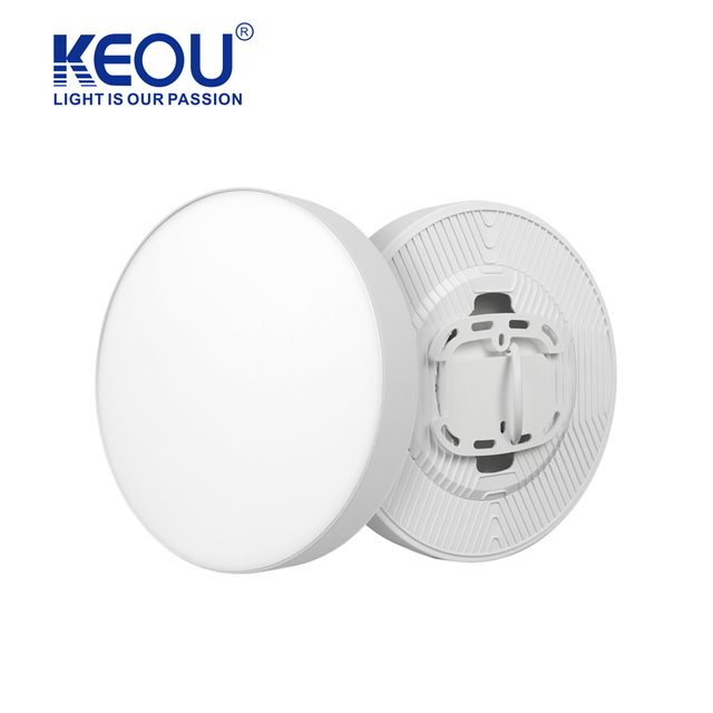 Modern Minimalist 36W Led Ceiling Light Indoor Light For Shop&Office Dining