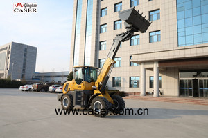 China New CASER <span class=keywords><strong>T25D</strong></span> 2,5 Tonnen Frontend Schaufel Schnee Mini Micro Teleskop ausleger Radlader zu verkaufen - Product Image 6