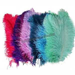 <span class=keywords><strong>Plumas</strong></span> de avestruz naturales blancas para fiesta, Carnaval, hogar, boda, centro de mesa, jarrón de Navidad, decoración de vacaciones, artesanía DIY Floral - Product Image 4