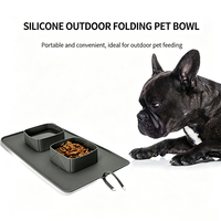 Bol d'alimentation portable en silicone sans BPA anti-déversement pour chiens et chats, tapis à lécher, double bol pliable pour animaux de compagnie