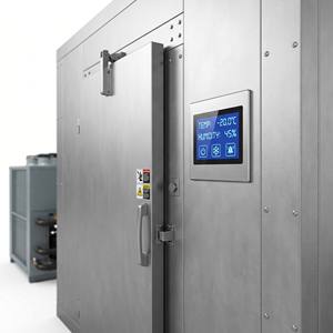 Cella Frigorifera Professionale con Raffreddamento ad Aria da -18°C a -25°C, Stoccaggio Modulare per Alimenti Congelati, Vaccini e Medicinali - Product Image 5