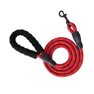 Correa de Nailon Reflectante para Perro con Mango Acolchado, Resistente, para Perros Pequeños, Medianos y Grandes, para Paseos al Aire Libre - Product Image 1