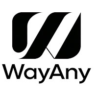 Shenzhen WayAny Technology Ltd logo