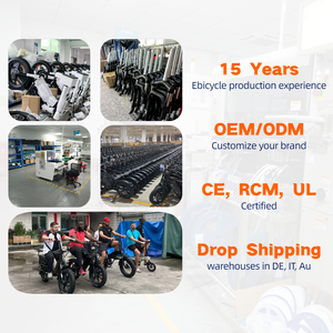 Promoción Zerogo Ebike Bicicleta Eléctrica de Montaña V8 Fatboy con Pedales, Almacén en el Extranjero, Precio de Fábrica - Product Image 3