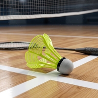Volants de badminton en nylon et plumes de canard pour le loisir, avec base rigide, pour débutants, vol constant, en plastique mousseux et plumes.