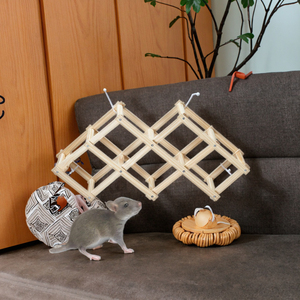 Sang trọng động vật nhỏ bằng gỗ bò Chuột rắn gỗ Pet đồ chơi - Product Image 2