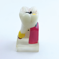 Modelo Anatómico de Molar Patológico Dental de 4 Veces el Tamaño Real, Simulación de Perfil de Caries, Modelo de Enseñanza para Entrenamiento Dental
