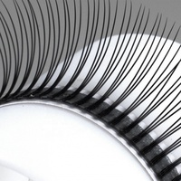 Russian Volume <strong>Eyelash</strong> <strong>Extensions</strong> High Quality Korean PBT Fiber Premium Premade Fans CC/Cd for Long/short Stem Bulk <strong>Top</strong> <strong>Sellers</strong>