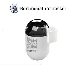 2026年新型<span class=keywords><strong>GPS</strong></span>トラッカー、リアルタイム位置情報、PioGen鳥類飛行追跡用レッグバンド<span class=keywords><strong>GPS</strong></span>鳩リング、動物追跡用プラスチック製IPX6 - Product Image 6