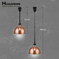 Huadison équipement de restauration Buffet nouvelle lampe d'isolation télescopique ascenseur suspendu 304 lustre alimentaire Buffet lampe chauffante