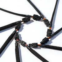 Kabel Harness Kelistrikan Konektor 2 Pin 6.3mm Berisolasi PVC Elektronik Otomotif Pabrik