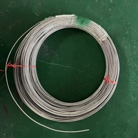 Câble isolé minéralisé (MI) de type K EJ T RTD en acier inoxydable 304 310, direct usine, diamètre extérieur 0,5-8 mm, simple 2 conducteurs, duplex 4 conducteurs