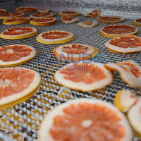 Séchoir à oranges de pointe à technologie de pointe, four de séchage à pompe à chaleur pour oranges, déshydrateur d'oranges professionnel
