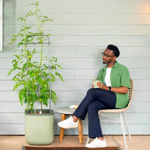 Caja de maceta de tomate de jardín con enrejado, cama de jardín elevada rodante de riego automático para plantas de verduras trepadoras - Product Image 1