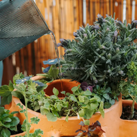 Pot de jardinage en terre cuite pour la maison et le jardin, style mignon, composteur de légumes avec emballage personnalisé