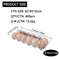 Fournisseurs d'emballage de boîte de plateau d'oeufs jetable transparent sous vide en vrac de 12 cellules trous à vendre avec plateau d'oeufs en plastique