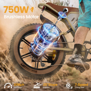 Jansno 20-Inch Fat Tire Electric Dirt Bike 250W 750 Electric Bicycle E-Bike 48V 34AH Dual Lithium Battery Bicicleta Electric - Product Image 3