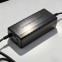 Chargeur de batterie de vélo électrique WFY 60V 2A en promotion, entrée 100-240V, charge rapide, tension constante, prêt à l'emploi