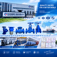 Katup Cek Berflens Besi Ulet PN16 DN100 Katup Anti Balik untuk Sistem Daur Ulang Air Pembilasan Pabrik Elektroplating
