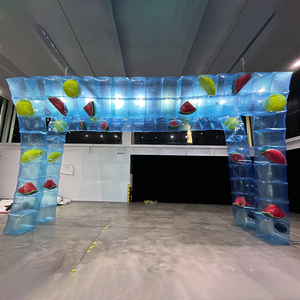 <span class=keywords><strong>Arche</strong></span> <span class=keywords><strong>d</strong></span>'entrée transparente gonflable en PVC pour extérieur, gonflables publicitaires personnalisés, <span class=keywords><strong>arche</strong></span> transparente pour la <span class=keywords><strong>d</strong></span>écoration <span class=keywords><strong>d</strong></span>'événements - Product Image 4