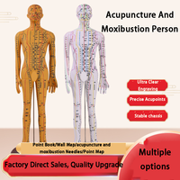 Acupuncture 62CM et point de moxibustion Modèle humain Corps entier Médecine traditionnelle chinoise Diagramme des douze méridiens